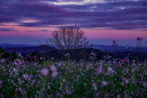 "Evening: Creating a Relaxing Environment to End the Day on a Positive Note"